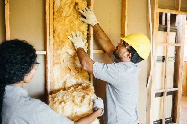 Trusted Buffalo Center, IA Insulation Services Experts